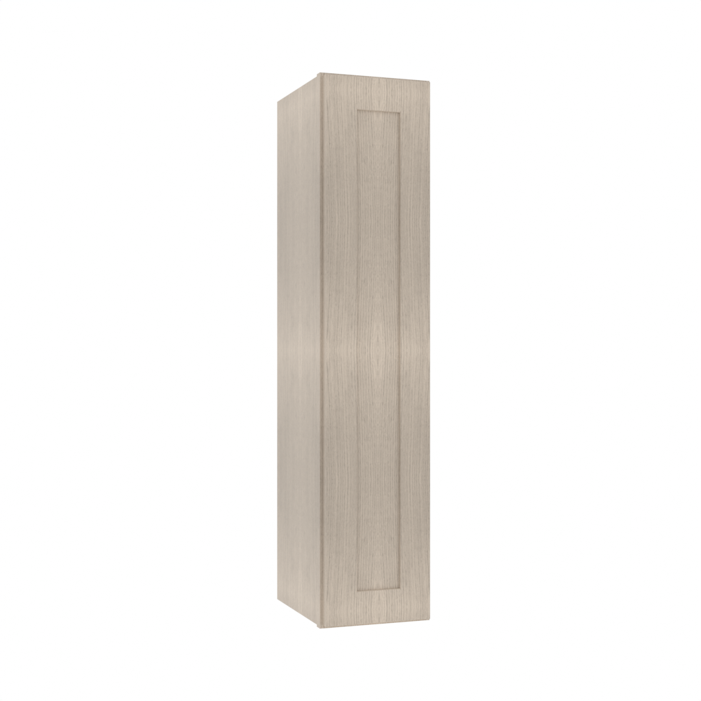 Single Door Wall Cabinet